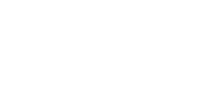Anapi logo